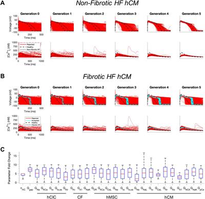 Computational design of custom therapeutic cells to correct failing human cardiomyocytes